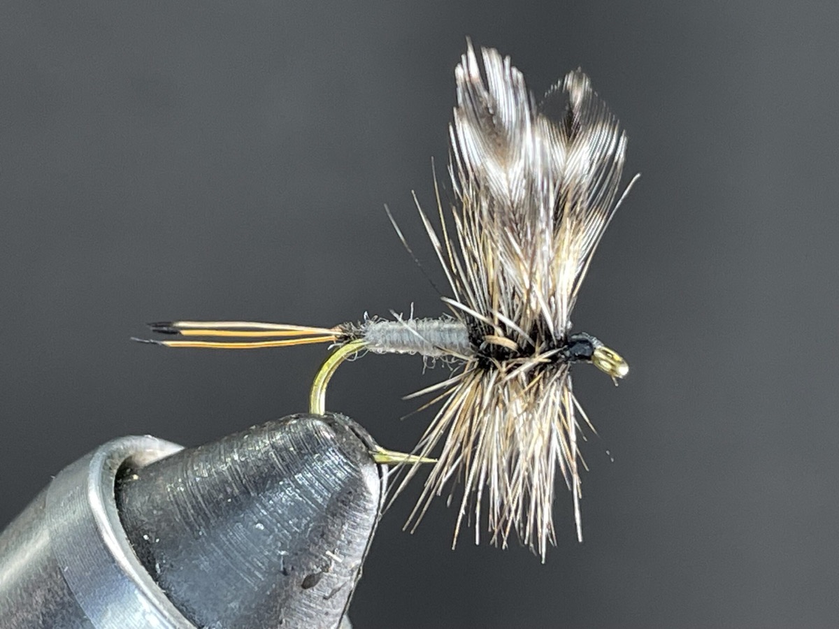 Adams (This is the original Len Halliday dressing ) fly pattern tied by Brent Jones