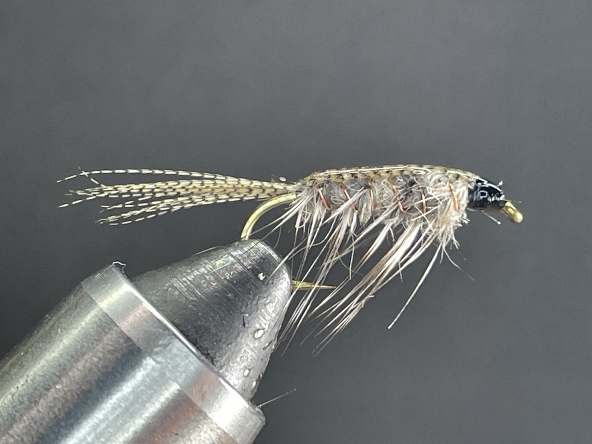Gray Callibaetis Nymph fly pattern tied by Brent Jones