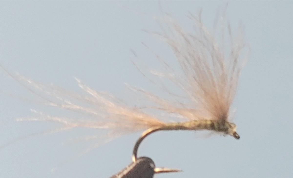 W. W. (Wee Whisper) fly pattern tied by Darrell Olson