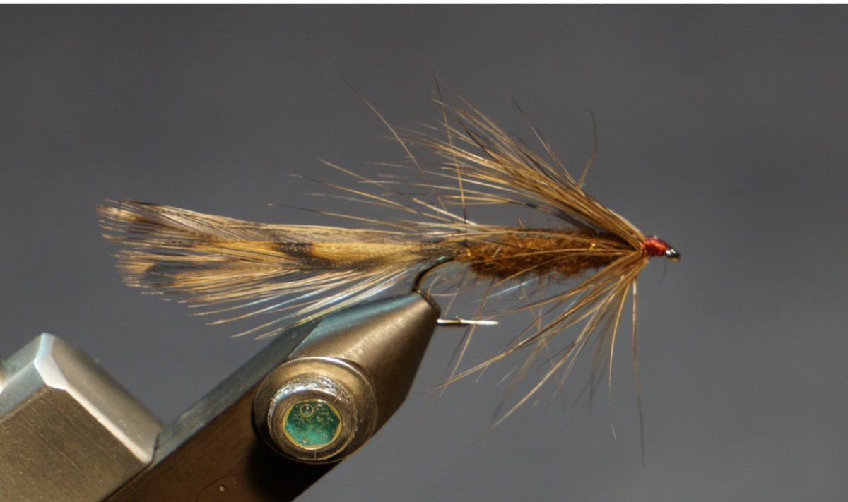 Matuka fly pattern tied by Christian Andrews