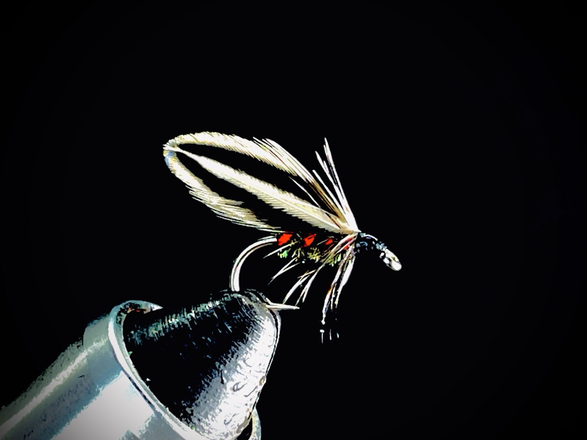 Francis Fly fly pattern tied by Brent Jones
