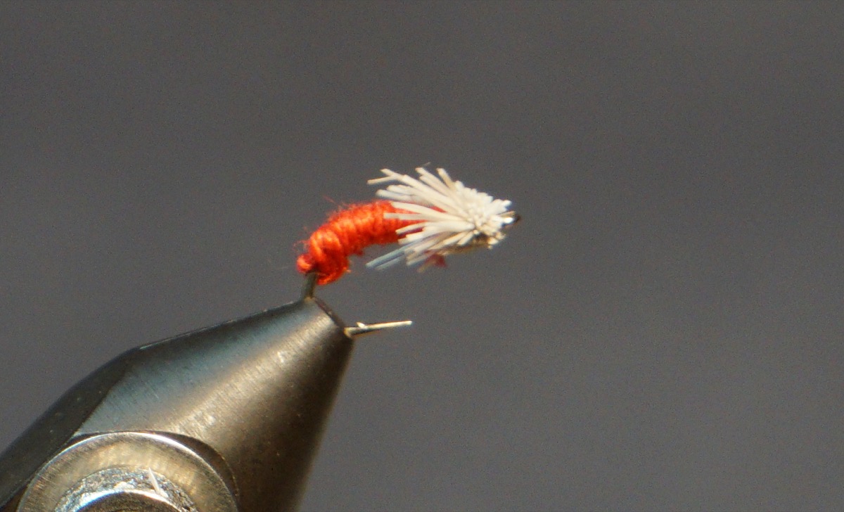 Serendipity fly pattern tied by Christian Andrews