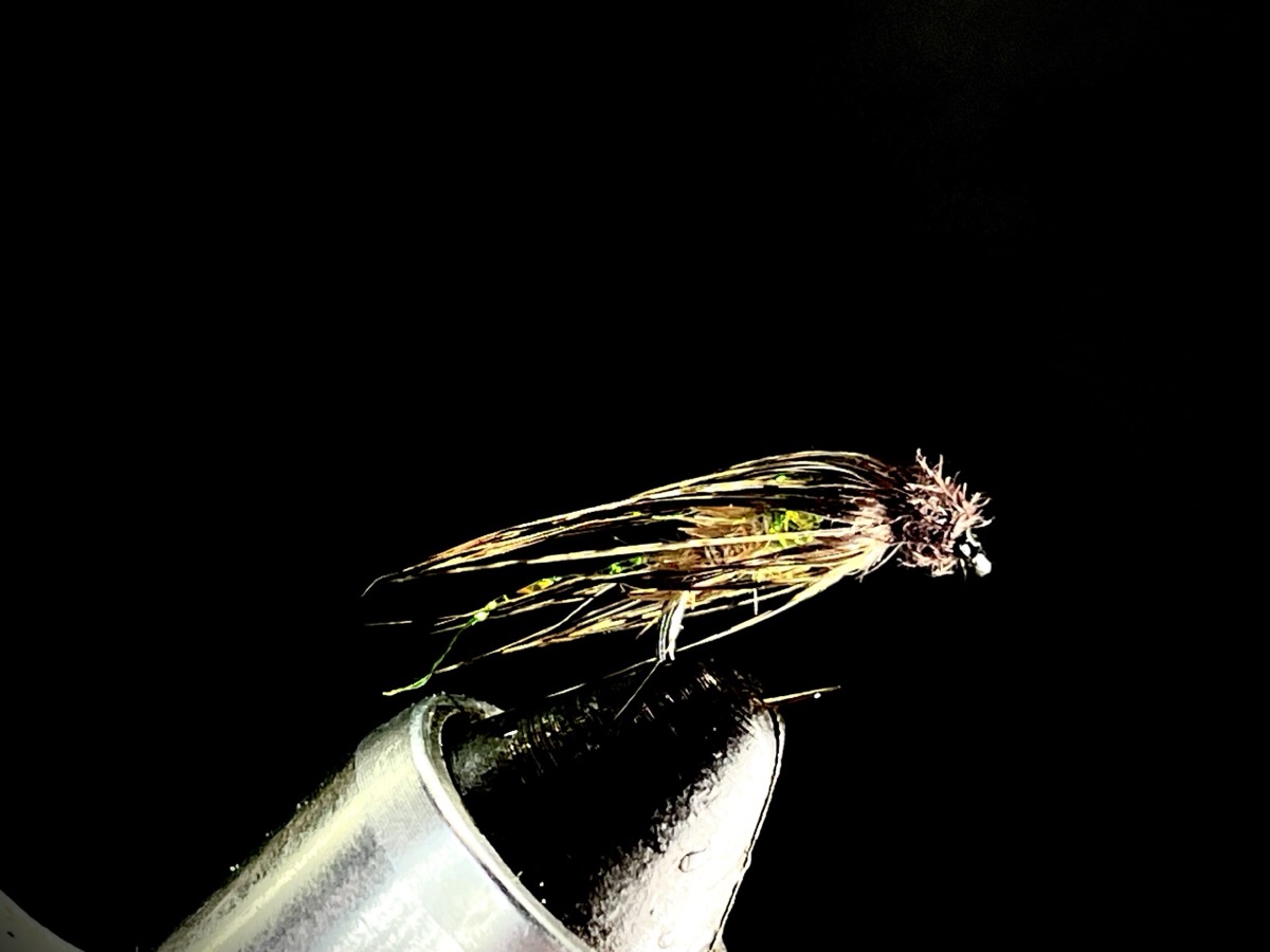 Caddis Oluma Variant fly pattern tied by Brent Jones