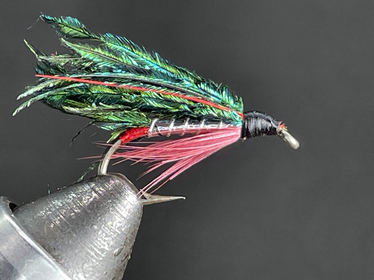 Alexandra fly pattern tied by Brent Jones