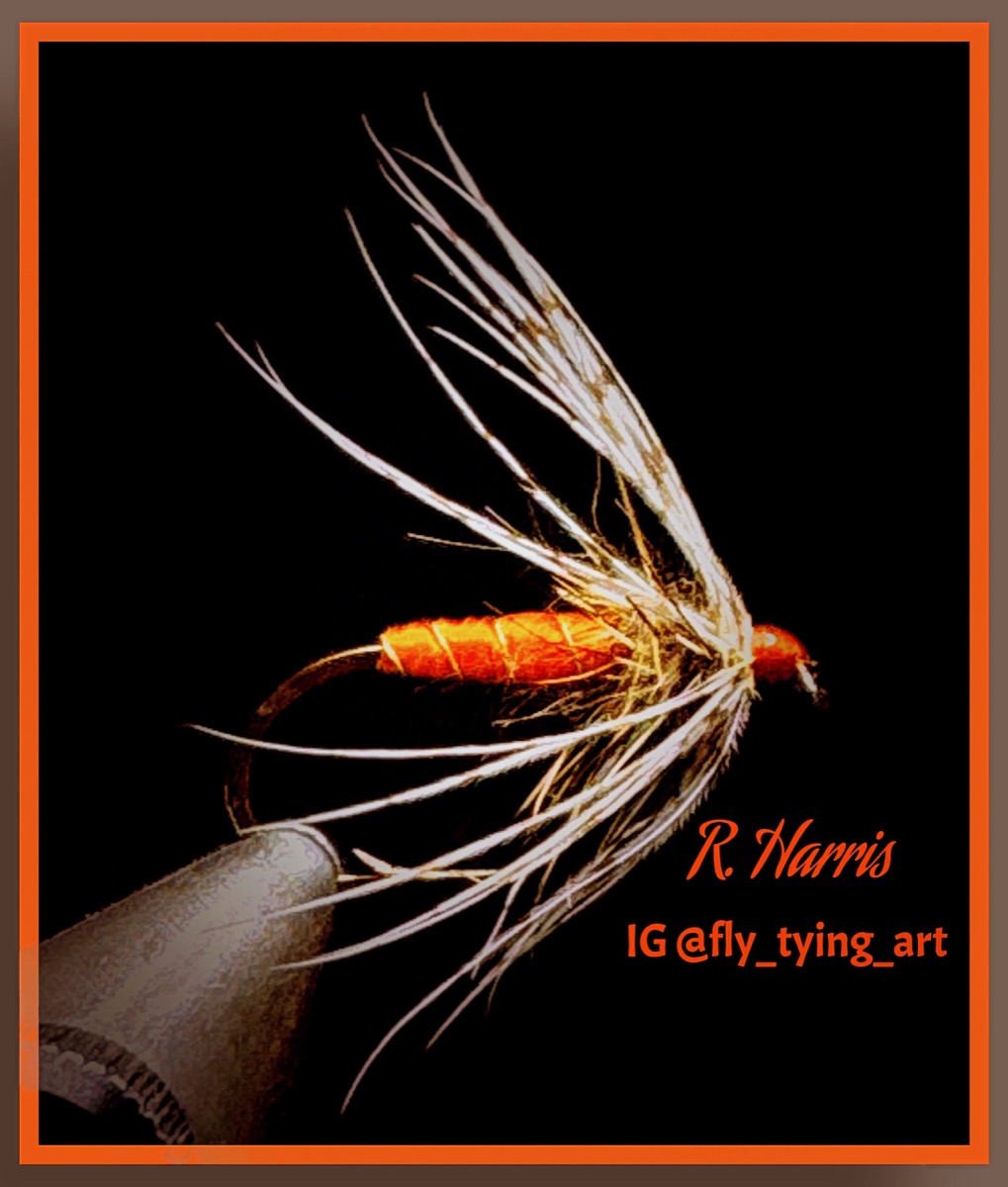 Orange Partridge Soft Hackle fly pattern tied by Richard Harris