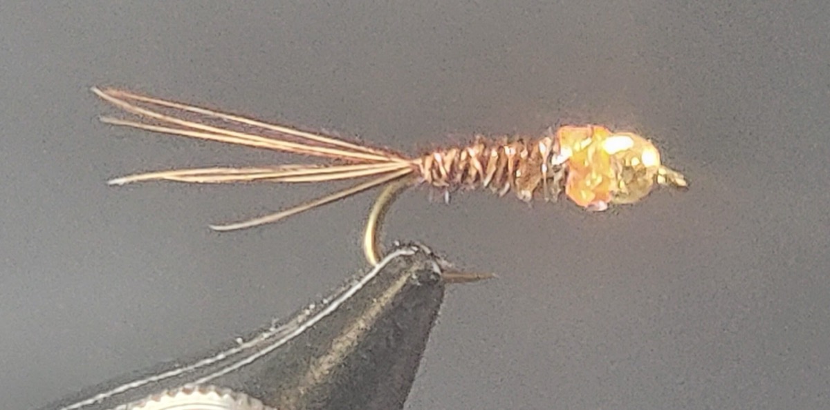 The Frenchie fly pattern tied by Darrell Olson