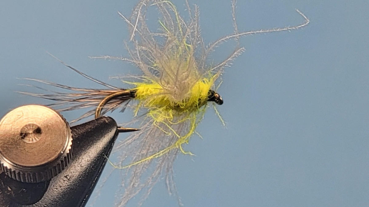 L Spent fly pattern tied by Darrell Olson