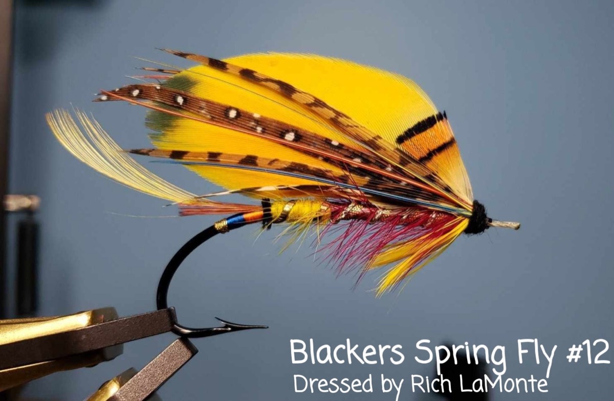 Spirit Fly #12 fly pattern tied by Rich LaMonte