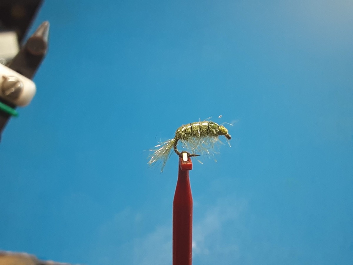 Olive scud fly pattern tied by Al Agelwei