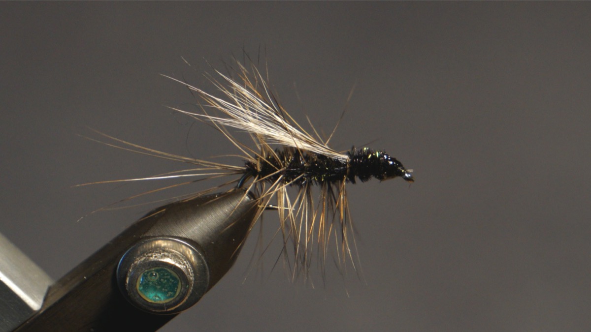 Picket Pin fly pattern tied by Christian Andrews