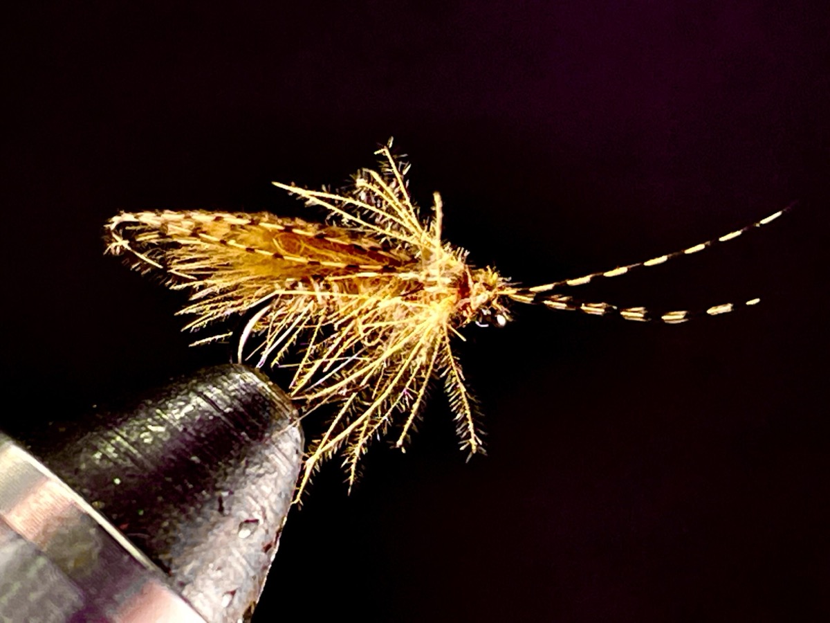 Wood Duck & CDC CADDIS fly pattern tied by Brent Jones