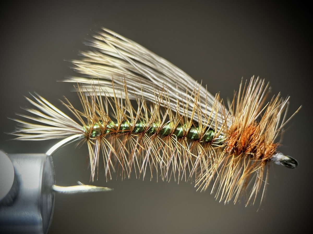 Olive Stimulator fly pattern tied by Ryan Storch