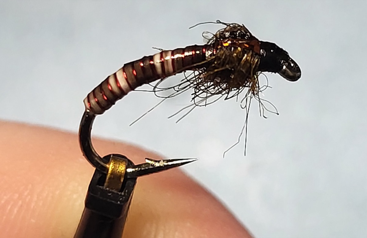 Peccary Emerger fly pattern tied by Will Arrant