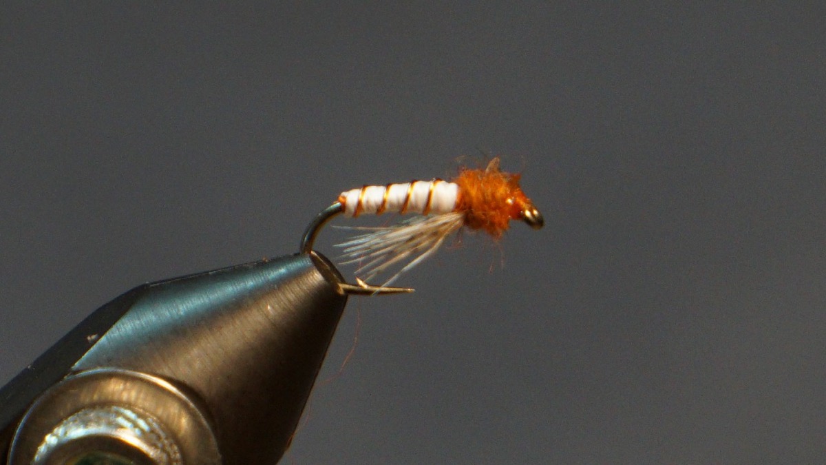 Midge Larva fly pattern tied by Christian Andrews