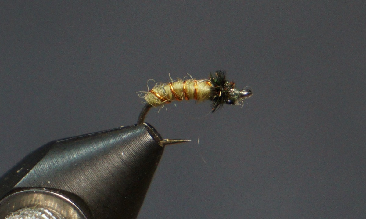 Simple Caddis Larva fly pattern tied by Christian Andrews