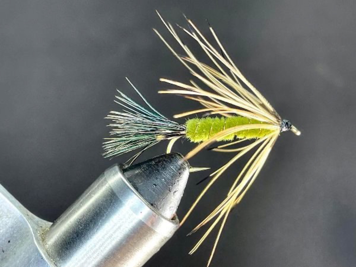Carey Special fly pattern tied by Brent Jones