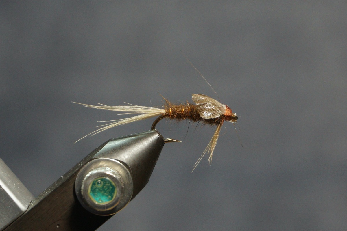 Simple Mayfly Nymph fly pattern tied by Christian Andrews