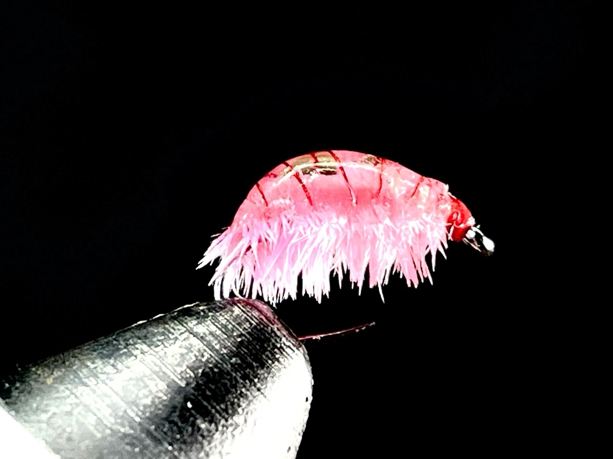 Jellybean Scud fly pattern tied by Brent Jones