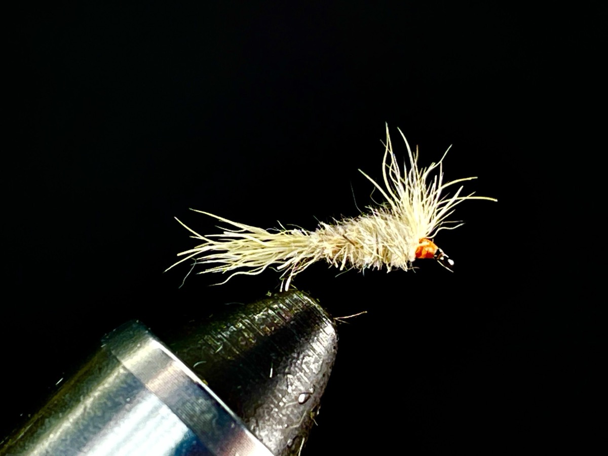 The Usual fly pattern tied by Brent Jones