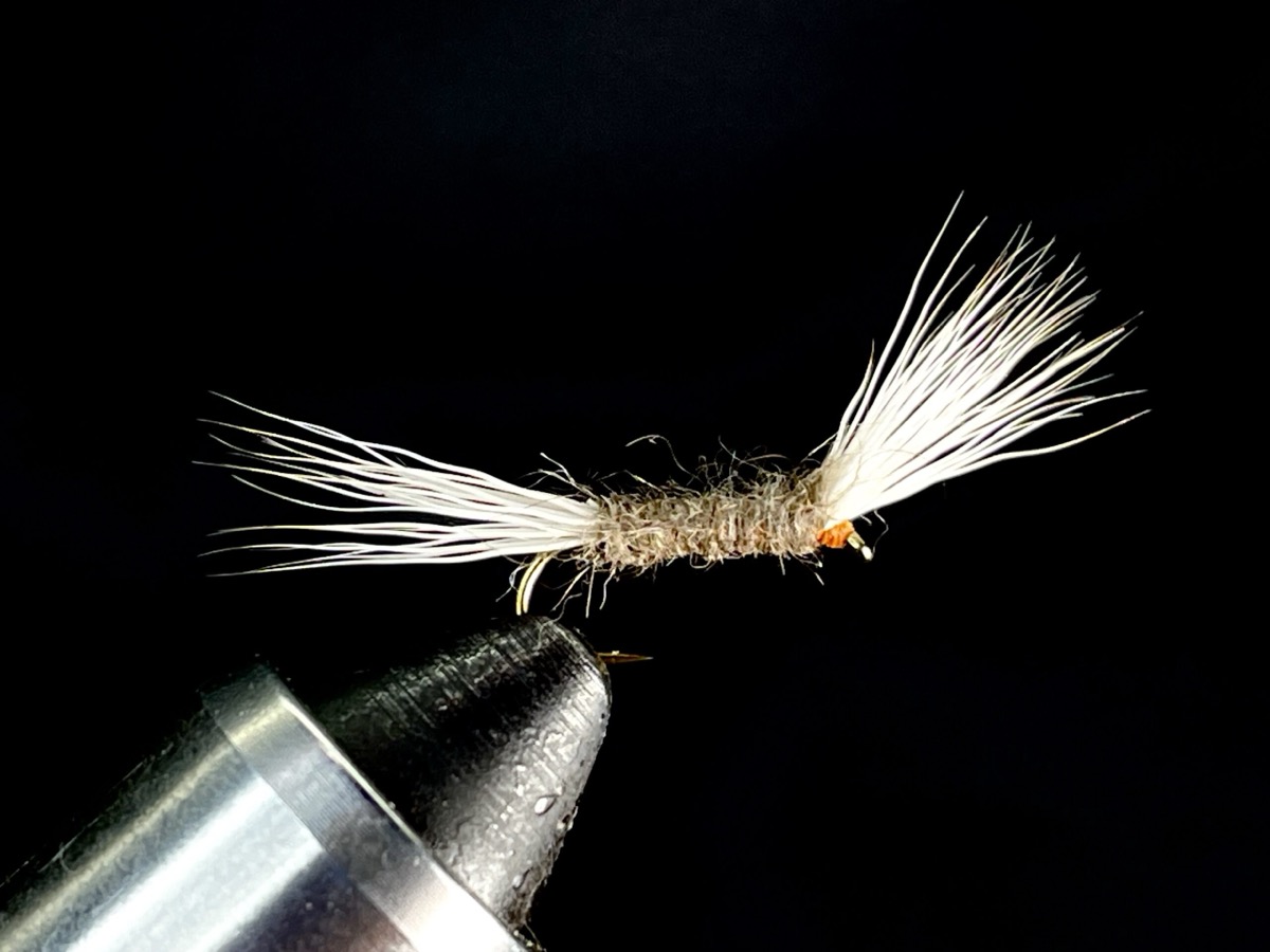 Haystack fly pattern tied by Brent Jones