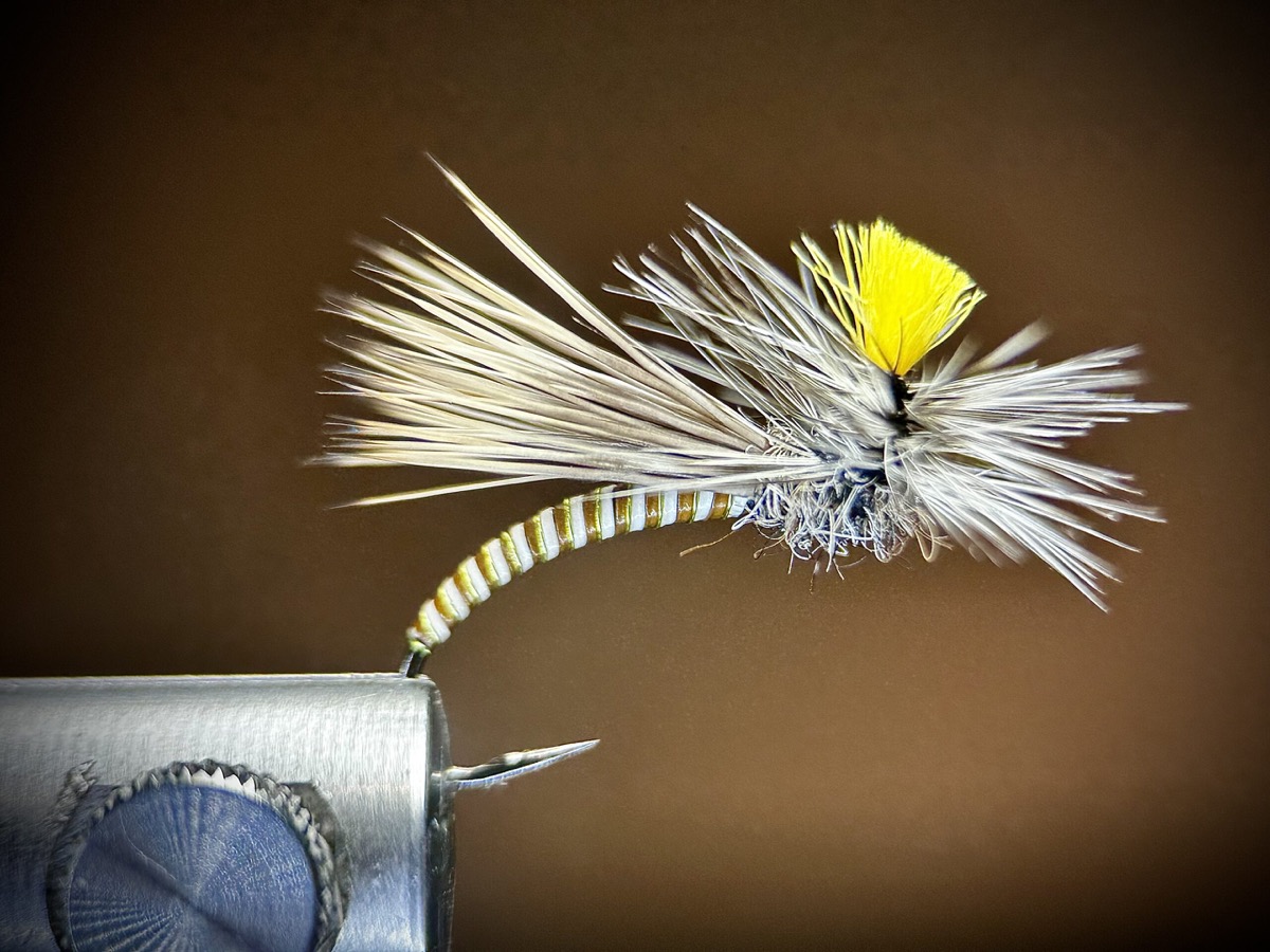 Klink hammer caddis fly pattern tied by Ryan Storch