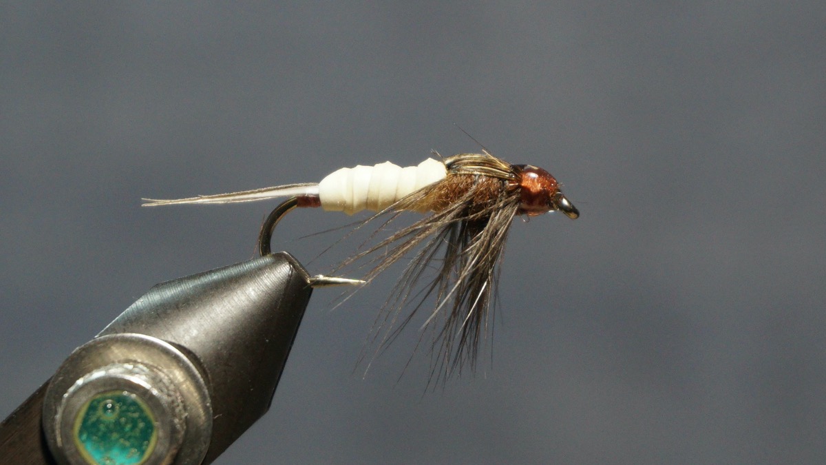 Stonefly Nymph fly pattern tied by Christian Andrews