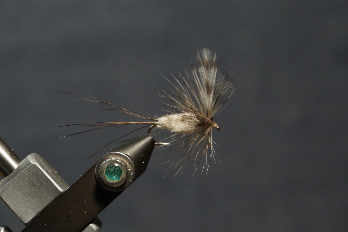 Adams Irresistible fly pattern tied by Christian Andrews