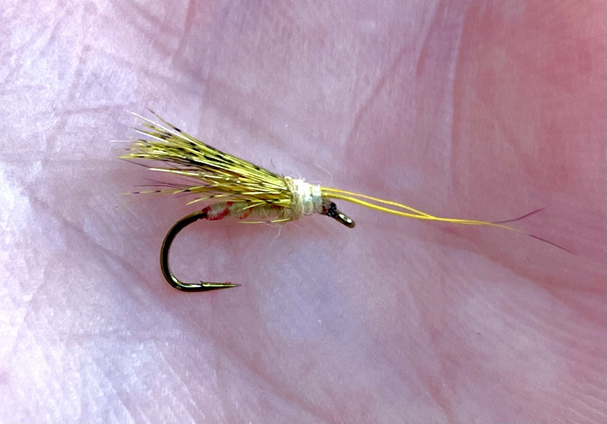E.P. & Partridge Yellow Caddis fly pattern tied by Brent Jones