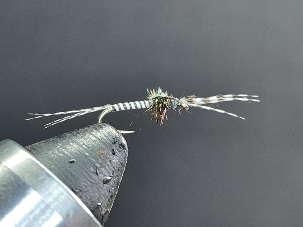 Mosquito Larva fly pattern tied by Brent Jones
