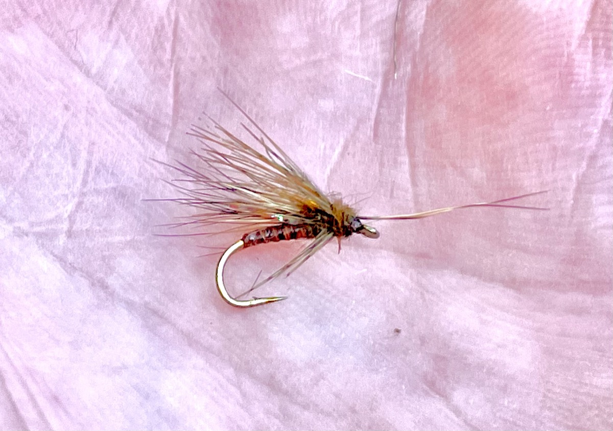 E.P. & Partridge Brown Caddis fly pattern tied by Brent Jones