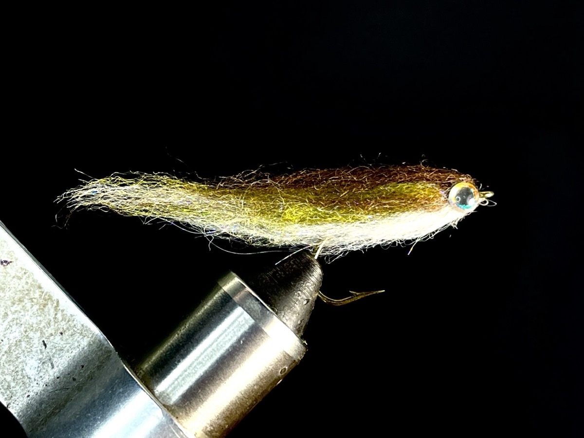 Laser Dub Minnow fly pattern tied by Brent Jones