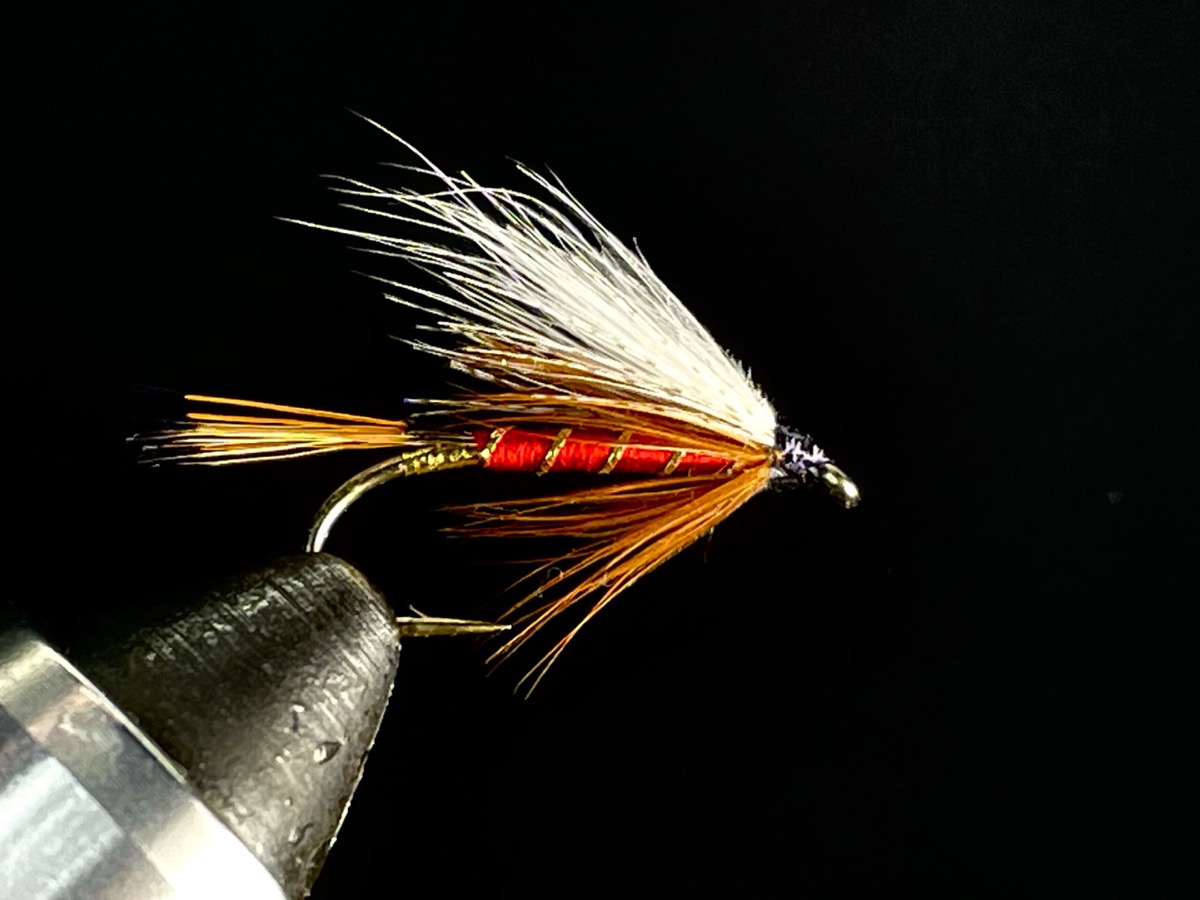 Abby BFD (bundled fiber down wing) fly pattern tied by Brent Jones
