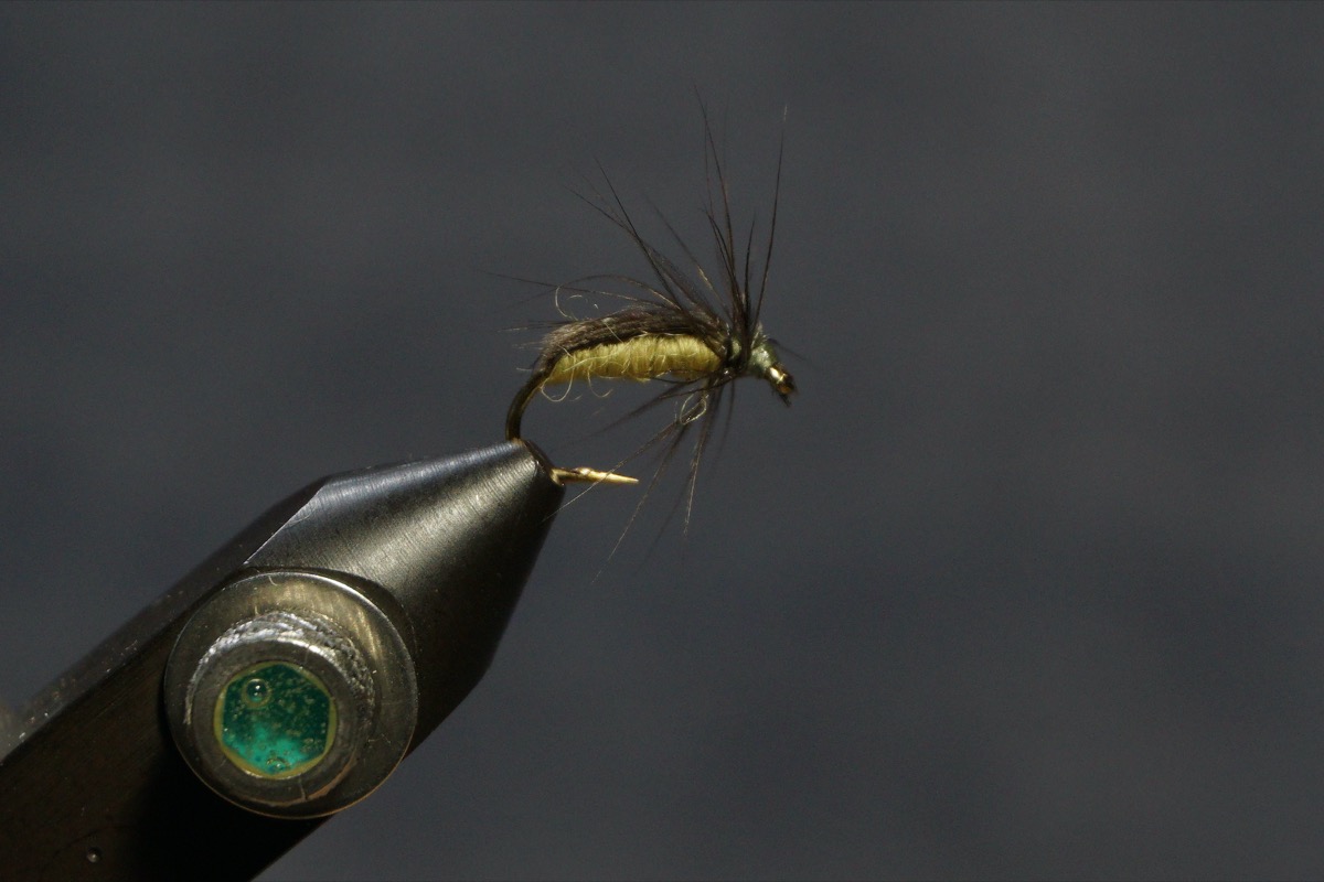 Caddisfly Pupa fly pattern tied by Christian Andrews