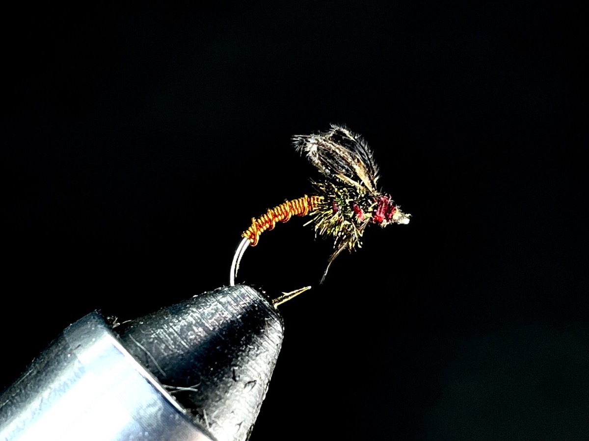 Budding brassie fly pattern tied by Brent Jones