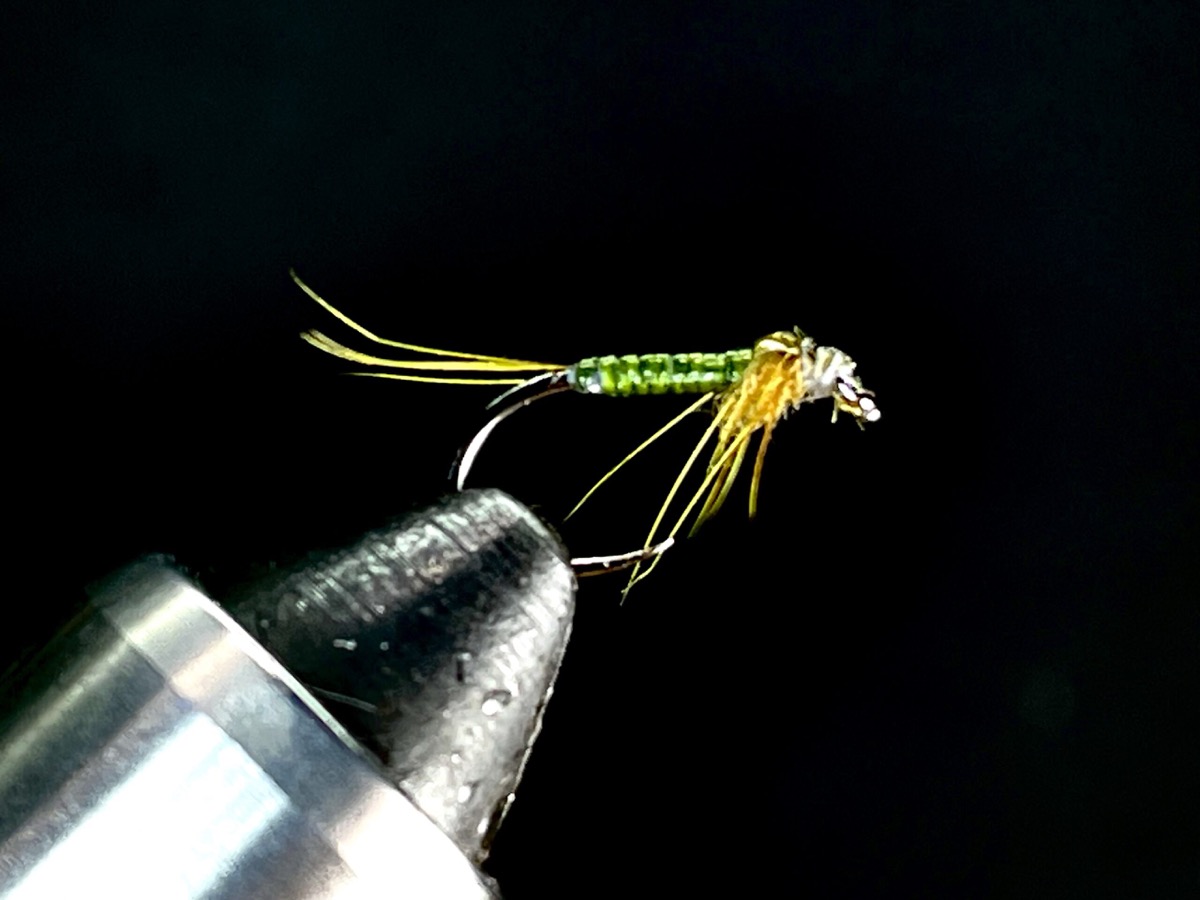 Baetis Nymph fly pattern tied by Brent Jones