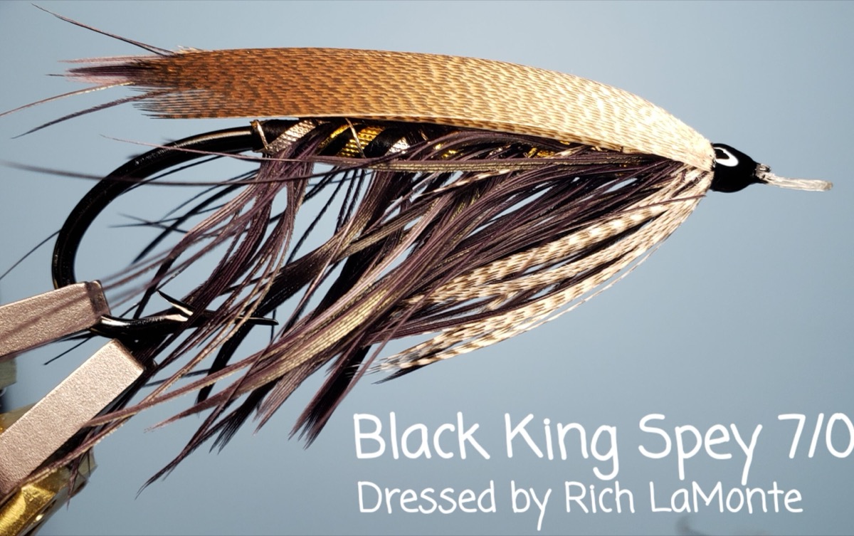 Black King Spey fly pattern tied by Rich LaMonte