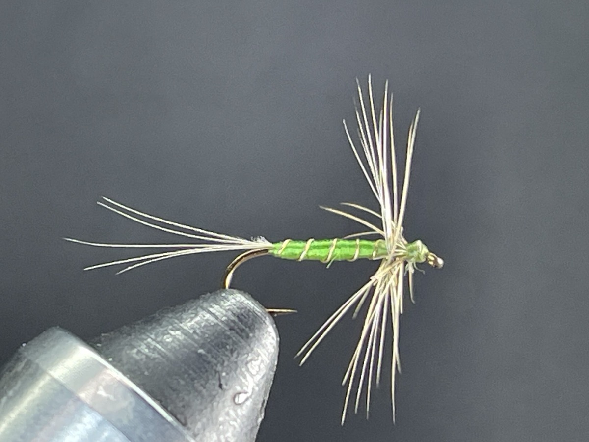 Apple Green Buzzer fly pattern tied by Brent Jones