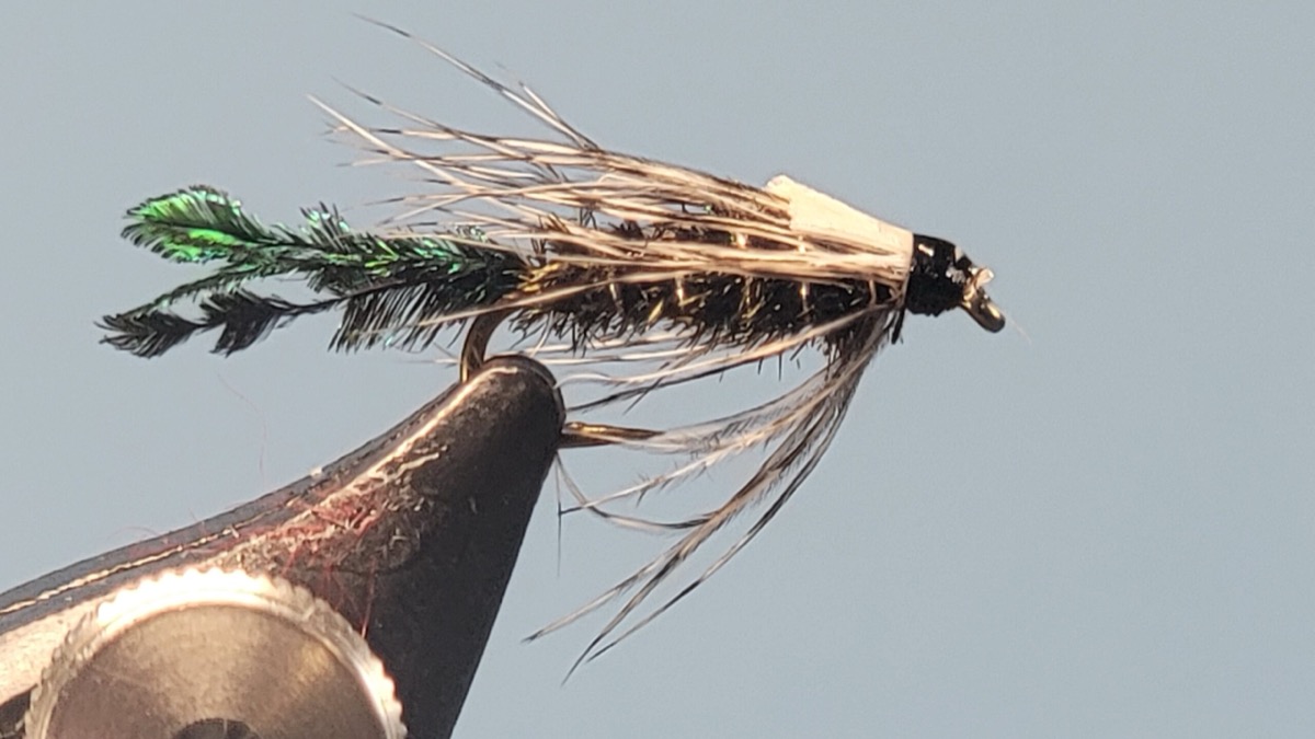 Zug Bug fly pattern tied by Darrell Olson