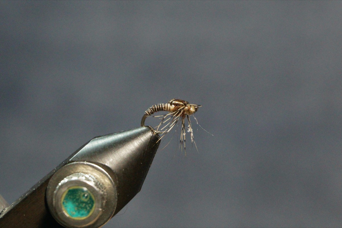 Midge Pupa fly pattern tied by Christian Andrews