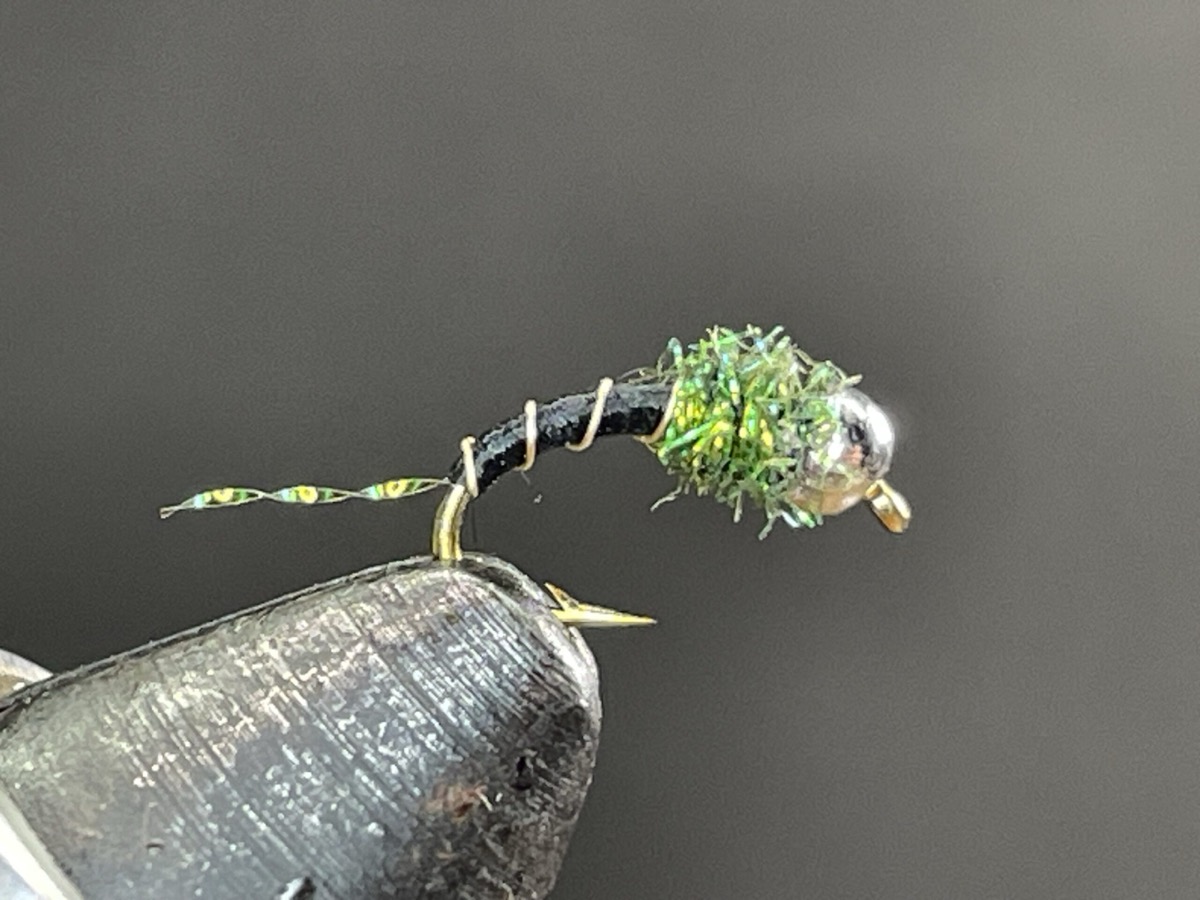 Flash Tail Zebra Midge fly pattern tied by Brent Jones