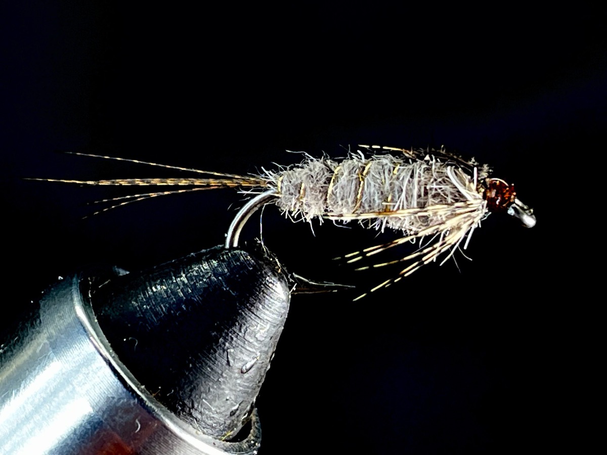 Mayfly Nymph (Peter Brown) per O’Reilly’s book fly pattern tied by Brent Jones