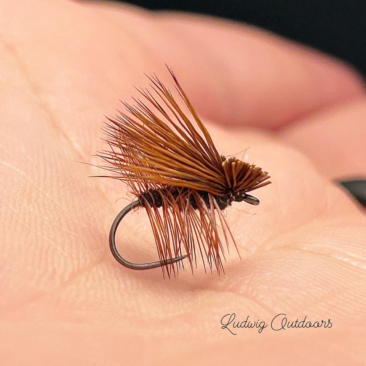 Elk Hair Caddis fly pattern tied by Kyle Ludwig