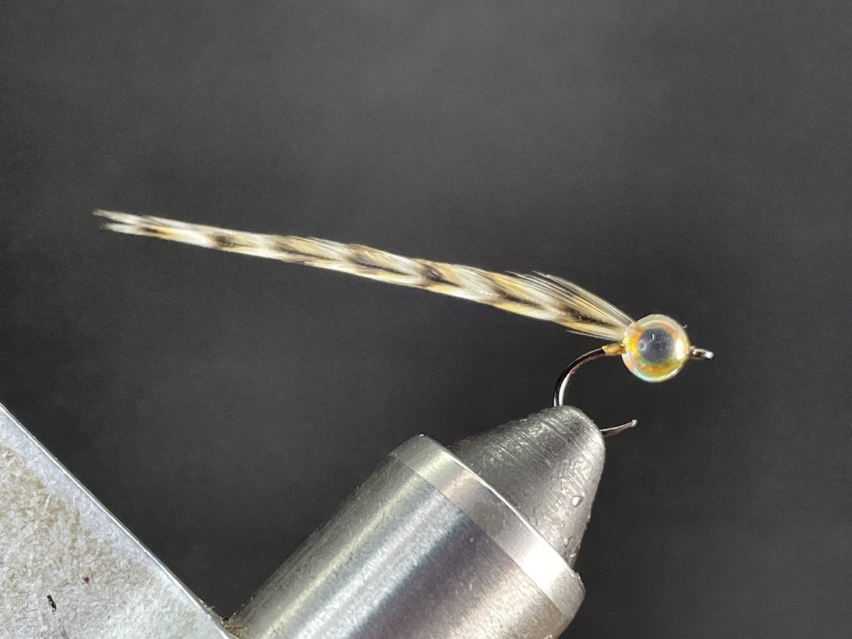 Brown Cree Shad fly pattern tied by Brent Jones