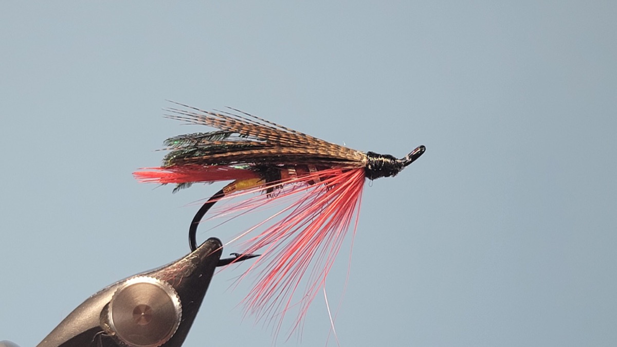 Coquihalla Red fly pattern tied by Darrell Olson