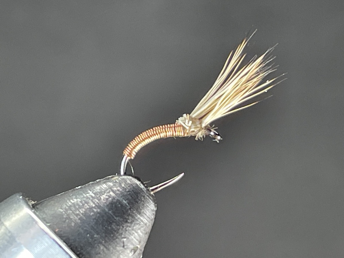 Lucky Penny fly pattern tied by Brent Jones