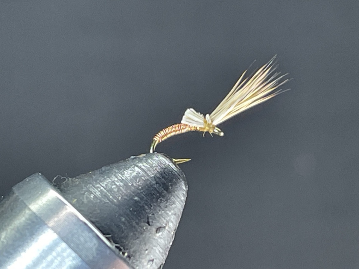 Lucky Penny fly pattern tied by Brent Jones