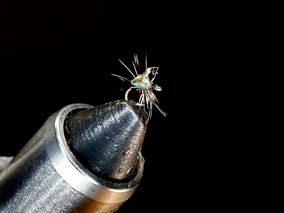 Brent’s Flash Wing Midge fly pattern tied by Brent Jones