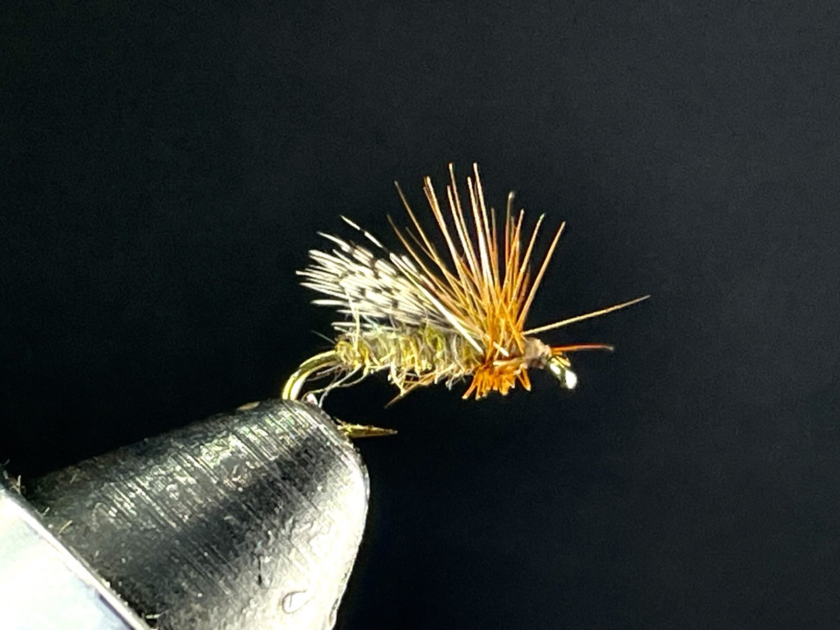 Partridge Micro Caddis fly pattern tied by Brent Jones