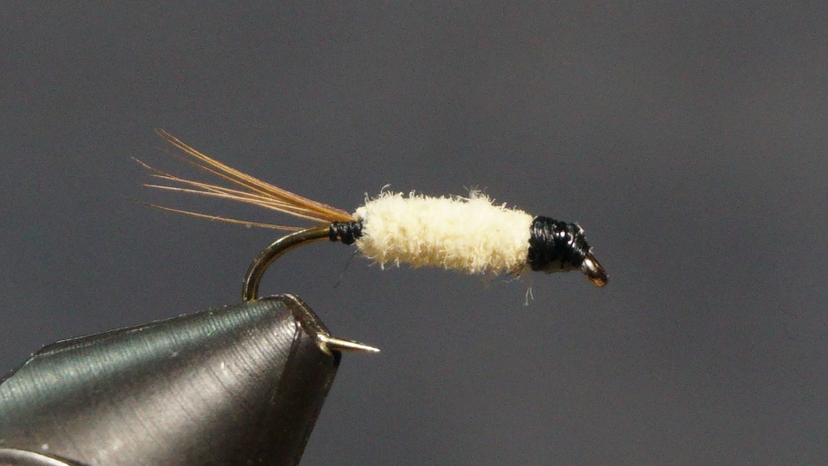 Buckskin fly pattern tied by Christian Andrews