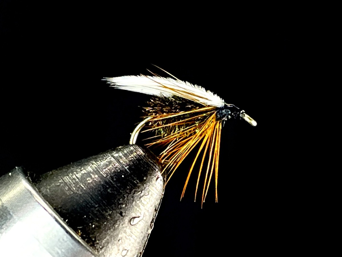 Coachman fly pattern tied by Brent Jones